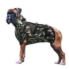 Aoneky armadura para perro de caza talla M con proteccion de cuello.