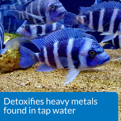 Dosis de API: 1 ml por cada 20 galones para acondicionar el agua.