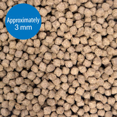API pellets con calamar, mejillón y alga para nutrición y sabor superiores.
