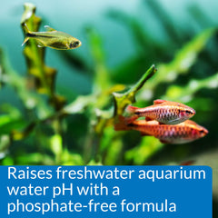 Vierte API pH UP en acuario de agua dulce para ajustar pH