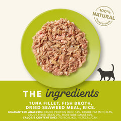 Applaws ingredientes limitados en lata, receta simple para gatos.