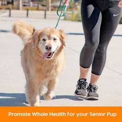 ARK NATURALS Gray Muzzle articulaciones mejoradas para perros senior.