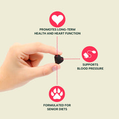 ARK NATURALS perro mayor disfruta el masticable, experiencia diaria sabrosa