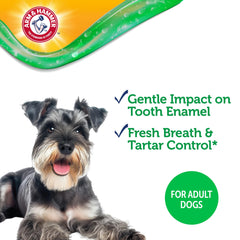 Cepillo dental pequeño para perros, diseño compacto de Arm & Hammer.