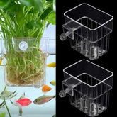 ARREBOL portaplanta para acuario en la tapa, sujeción estable para plantas