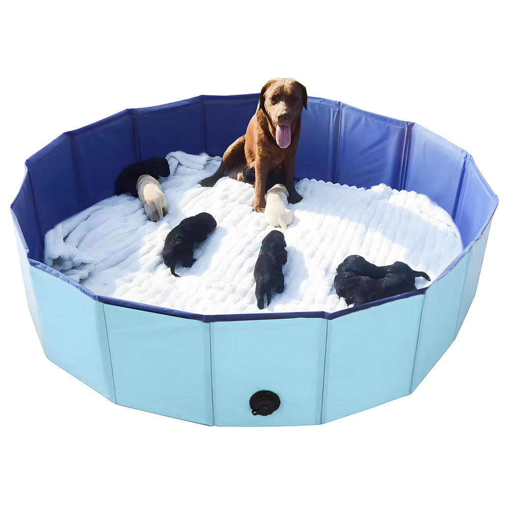 Artilife caja-whelping para perros 63-pulgadas azul, lista para partos.