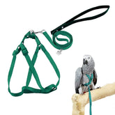 ARNÉS ASOCEA para aves en uso, ajuste cómodo para paseos