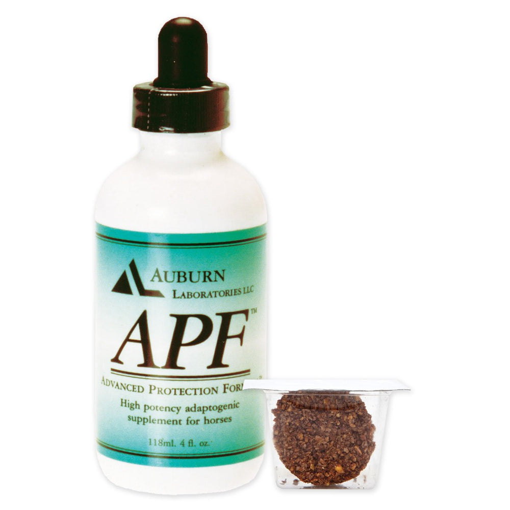 APF de Auburn Laboratories: vertido desde la botella para apoyar el bienestar del caballo