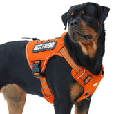 Arnés AUROTH para perro grande, vista frontal, ajuste cómodo.
