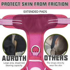 AUROTH arnés con sistema MOLLE para llevar accesorios y parches