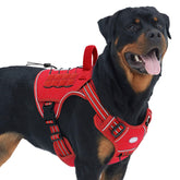 AUROTH arnés para perro grande sin tirones, mejor control.