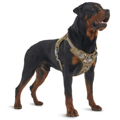AUROTH arnés para perros grandes con camo bosque, listo para aventuras al aire libre