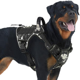 AUROTH arnés táctico para perro: ajuste rápido para mayor comodidad durante paseos