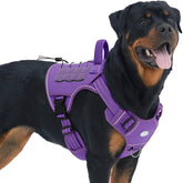 Arnés AUROTH táctico para perro grande en púrpura, sin tirones y cómodo.
