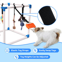 Autyomo Puppy Play Gym: sistema de suspensión bungee ajustable para juego seguro.