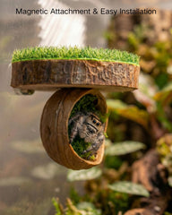Autzom diseño artesanal de madera añade calidez natural al terrario.