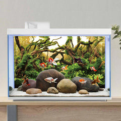 AWERT fondo acuario lago, crea ambiente sereno para peces y plantas.