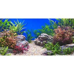 AWERT fondo acuario piedra río lago para un paisaje realista y vibrante.