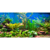 AWERT fondo para acuario río con plantas, ideal para profundidad visual y ambiente natural