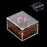 Caja AWXZOM de alimentación para reptiles, acrílico 360° para observar.