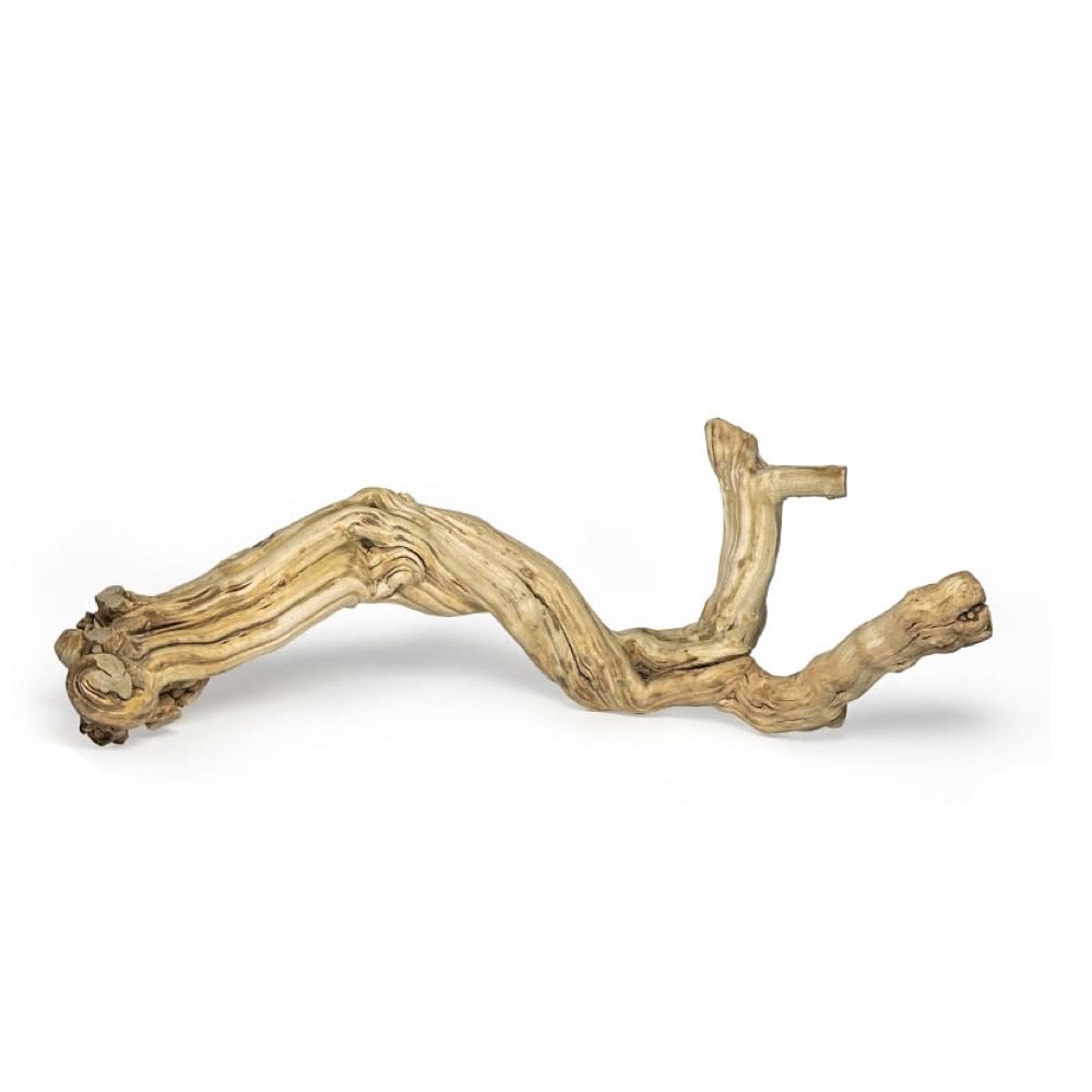 Rama AWXZOM grande para reptiles, ideal para trepar y decorar el terrario.