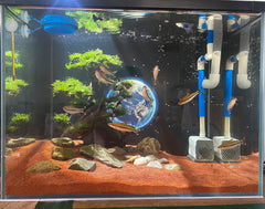 AWXZOM suelo natural para acuario, compatible con agua dulce y salada.