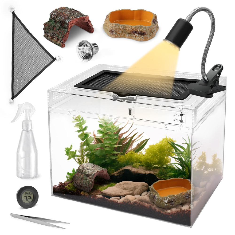 AZV terrario compacto, tanque-12x9x7, ideal para reptiles pequeños en escritorio.