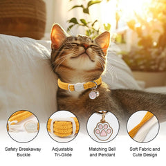 Ajuste regulable Babole Pet para gatos en crecimiento, cómodo y seguro.