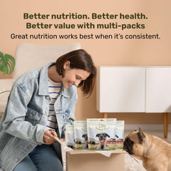Visual de superalimentos, vegetales y frutas para nutrición equilibrada.