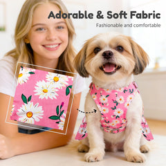BAEJMJK correa para perro dalia rosa, conjunto completo para salidas.