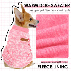 Baobicute diseño atractivo para perro pequeño, aporta estilo en cada salida.