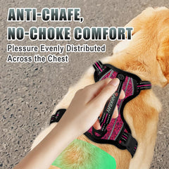 BARKBAY arnés con cuatro puntos de ajuste para un ajuste preciso.