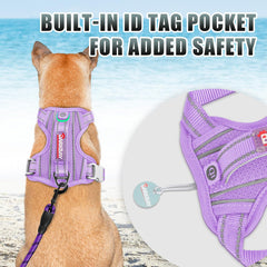 Arnés BarkBay con asa de control fácil para entrenar caminatas.