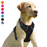 Arnés BarkBay con clip frontal resistente para control cómodo durante paseos