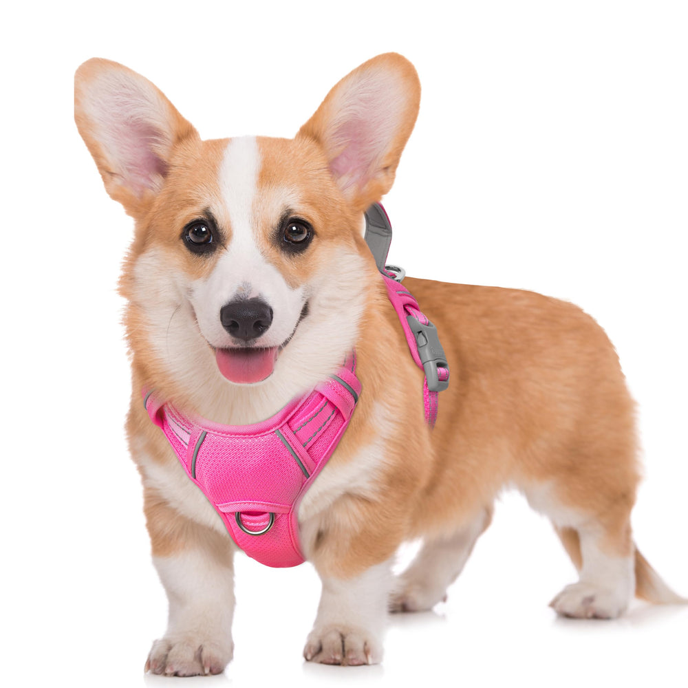 Arnés BarkBay sin tirones con clip frontal para entrenar paseos