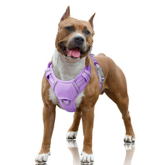 Arnés BarkBay con clip frontal para paseos sin tirones.