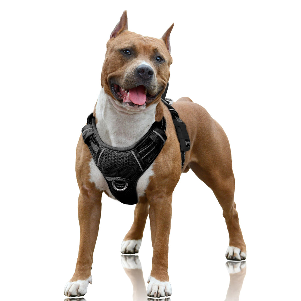 Arnés BarkBay sin tirones con enganche frontal para paseos más controlados.