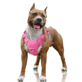 BARKBAY arnés sin tirón frontal con gancho para paseos tranquilos y entrenamiento.
