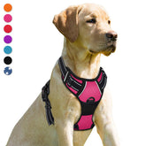 BARKBAY arnés sin tirones con clip frontal para control suave en paseos