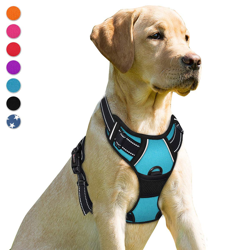 BARKBAY con enganche frontal para control suave durante paseos.