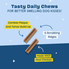 BARKBOX Bright crestas cepillado para perro masajean encías durante la masticación