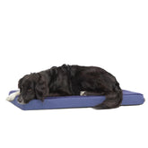 BarkBox cama ortopédica con espuma viscoelástica para perros grandes, soporte cómodo.