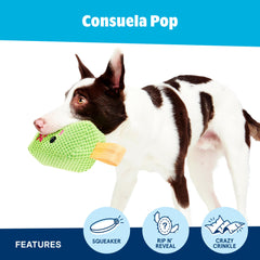 Barkbox Consuela Cactus Pop texturas crujientes para morder y explorar.