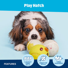 Barkbox Play Hatch: tres pelotas duraderas ideales para perros pequeños y medianos