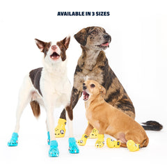 BarkBox ventilación en zapatos para perro, patas frescas durante caminatas.