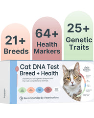 Basepaws muestra ADN gato: muestreo sencillo para conocer raza y rasgos