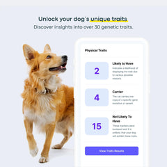 Basepaws resumen de salud genética: visión holística para el cuidado