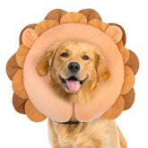 BEAUTYZOO collar-donut inflable para perros grandes, evita lamidos y facilita movimiento.