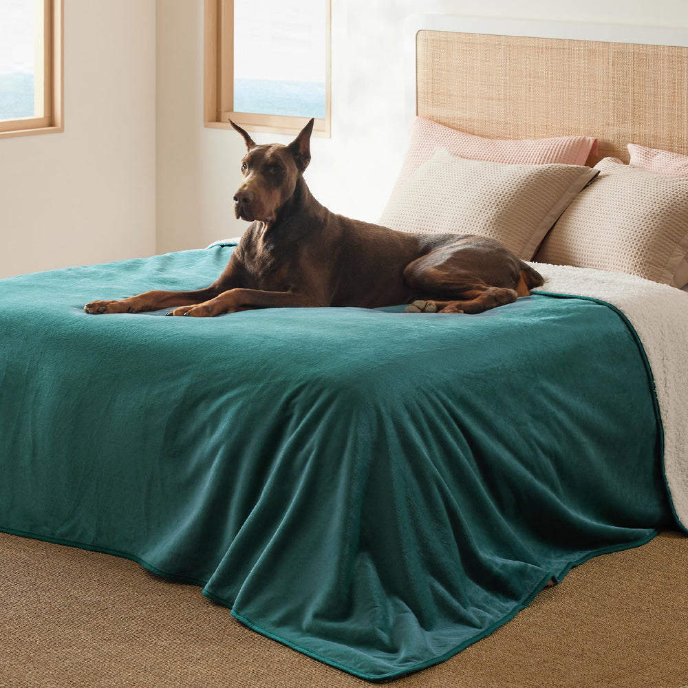Bedsure manta-impermeable-sherpa: protección contra derrames y calor reconfortante para tu mascota.