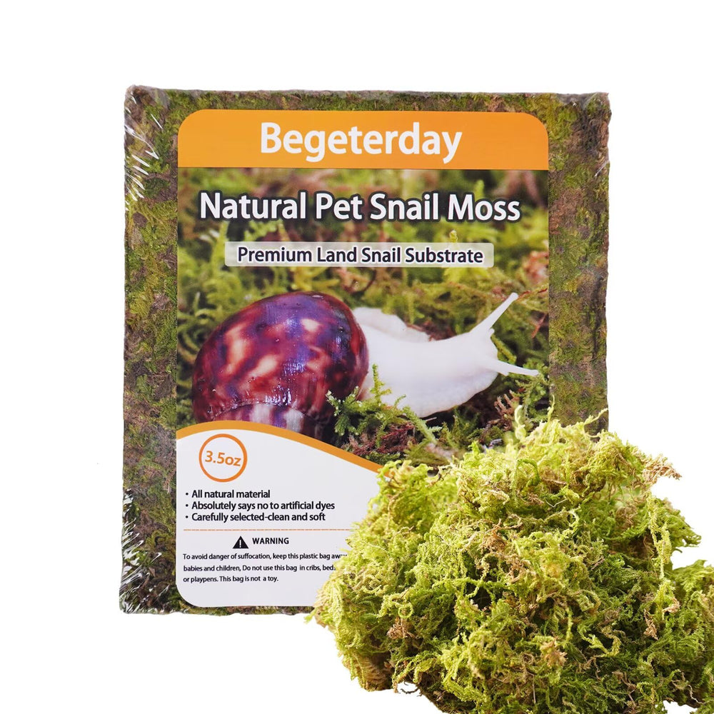 Begeterday musgo natural para caracoles, crea un hábitat húmedo ideal.